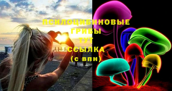 MDMA Premium VHQ Дмитриев