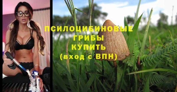 гидропоника Дмитровск