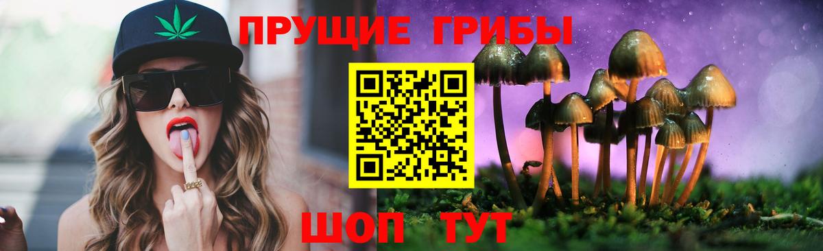 Галлюциногенные грибы GOLDEN TEACHER  Вход с VPN  Черемхово 
